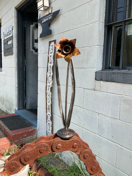 Forged Gloucester Daffodil
